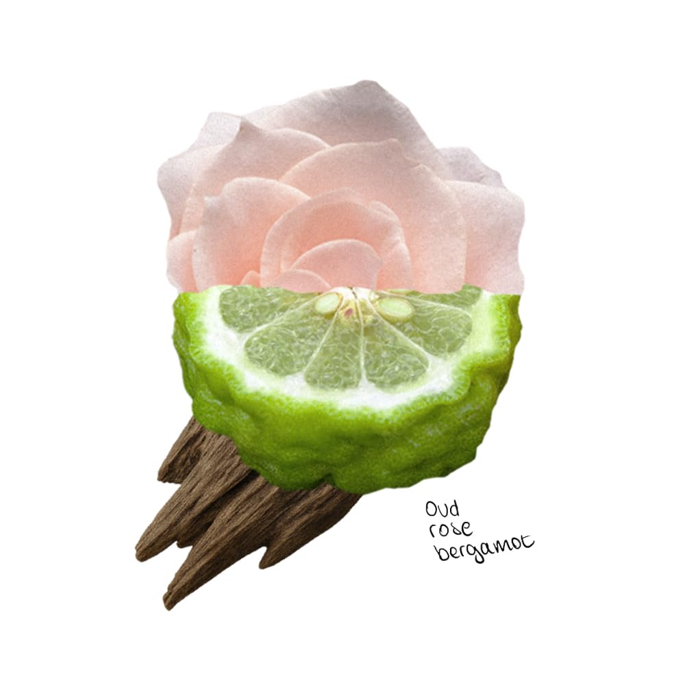 The Lab Co. - Waschmittelstreifen, Blätter, 32 Waschladungen, Öko, ultrakonzentriert