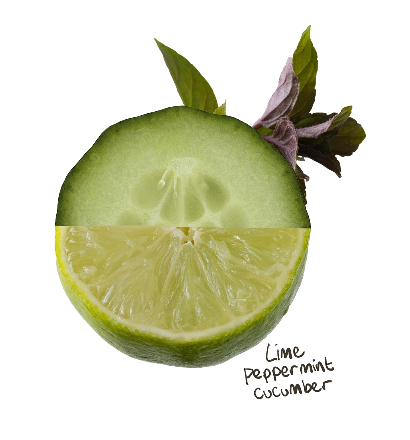 The Lab Co. – Waschmittelstreifenblätter (32 Ladungen, Öko-Ultrakonzentrat)