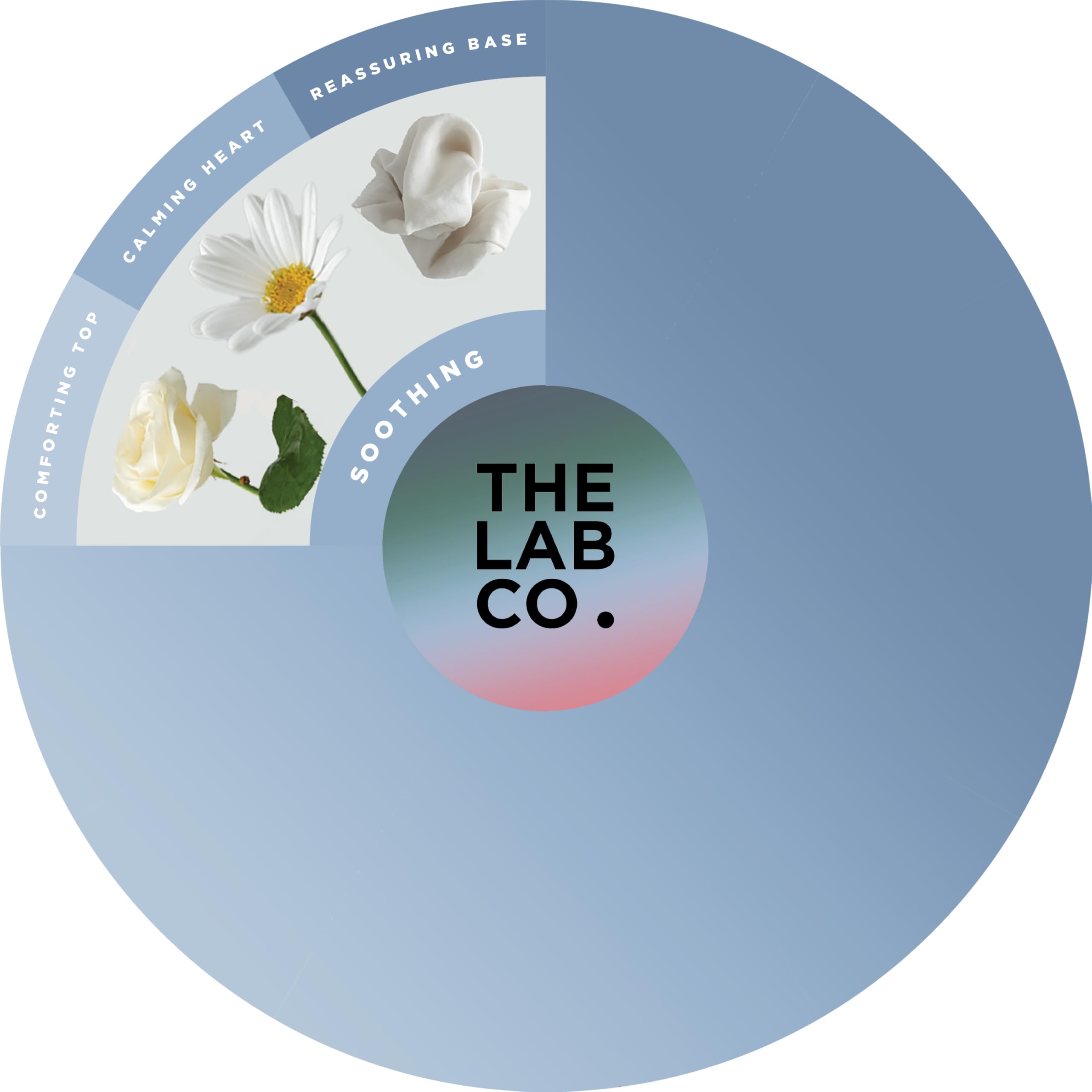 The Lab Co. – Waschmittelstreifen (32 Ladungen, Öko-Ultrakonzentrat)