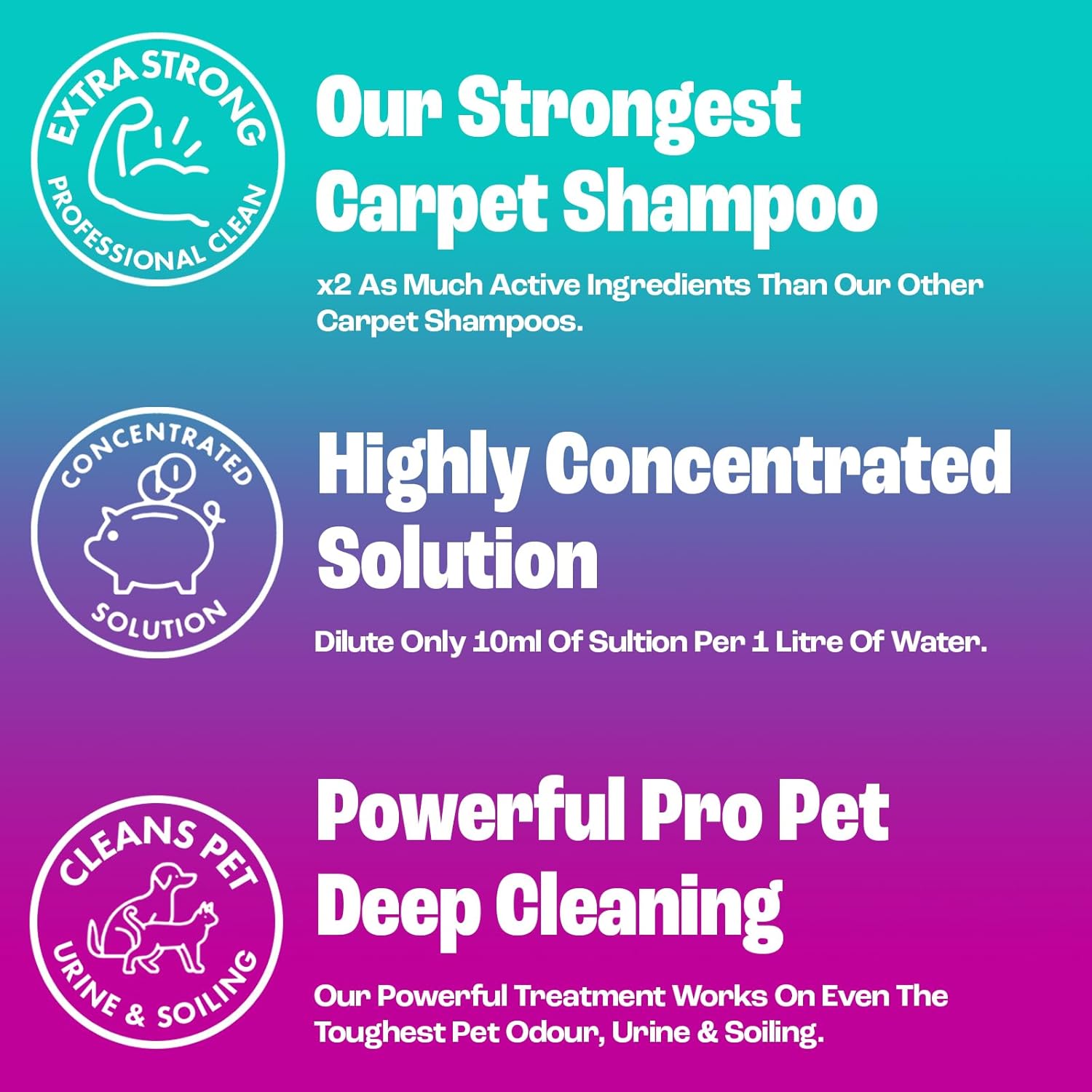 Dirtbusters – Pet Pro Teppichreiniger-Shampoo (1 Liter Konzentrat)