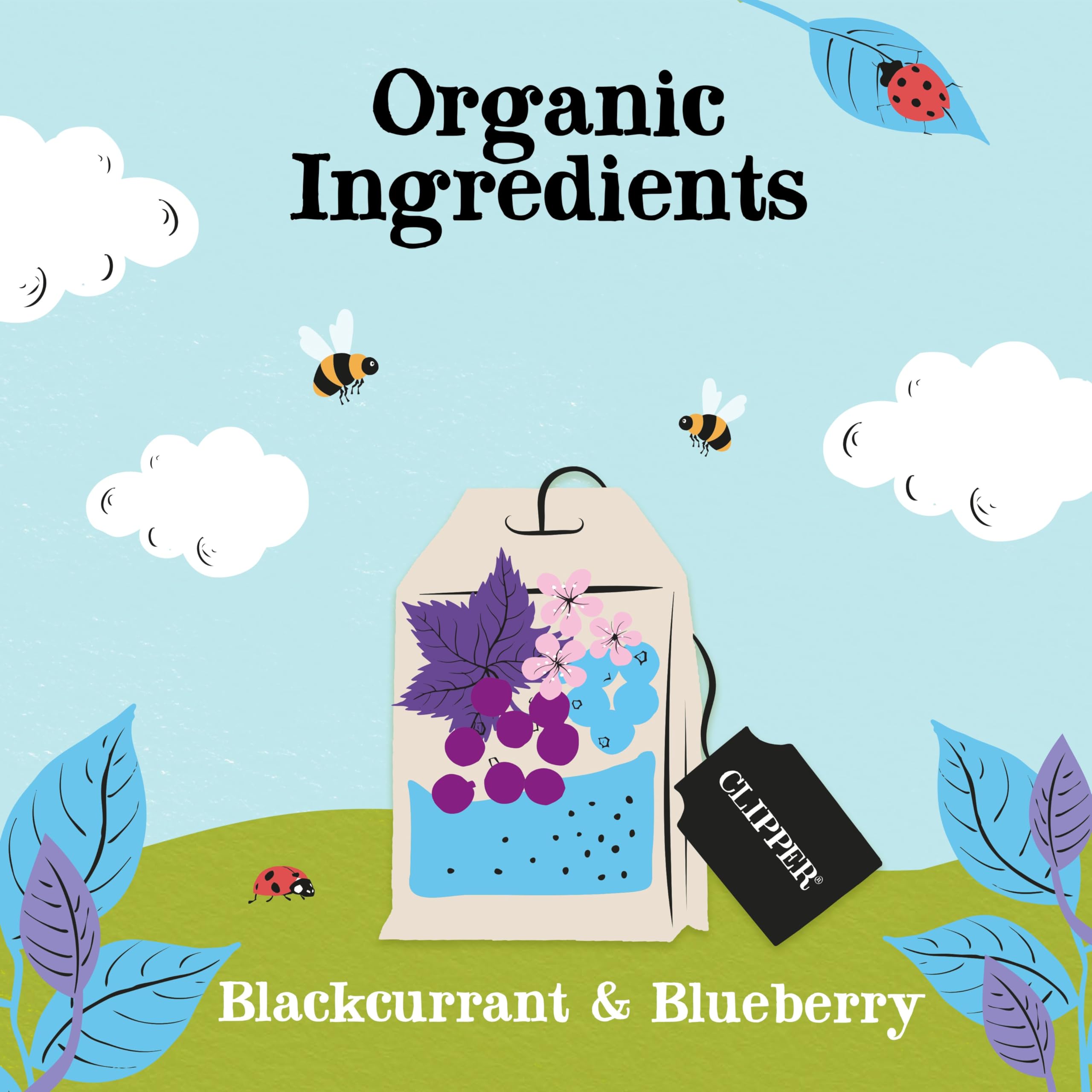 Clipper Organic Blackcurrant & Blueberry Infusion Fruit Teabags - 80 Unbleached Tea Bags