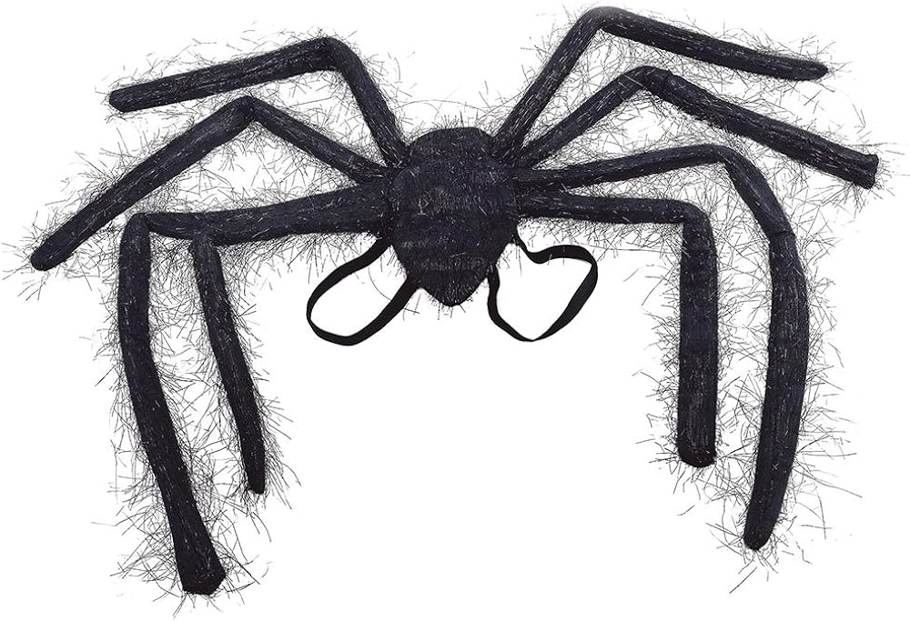 Bristol Novelty Spider Wing Accessory - Black, One Size