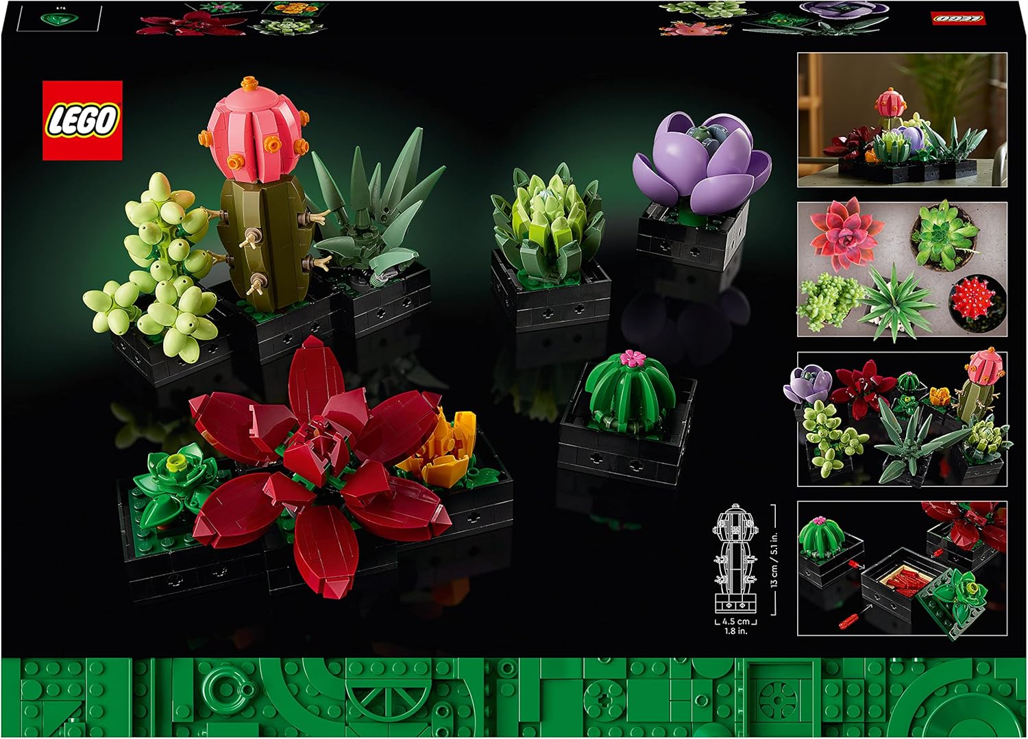LEGO 10309 Icons Sukkulenten-Set – Künstliche Pflanzen für Erwachsene, Heimdeko & Bauen