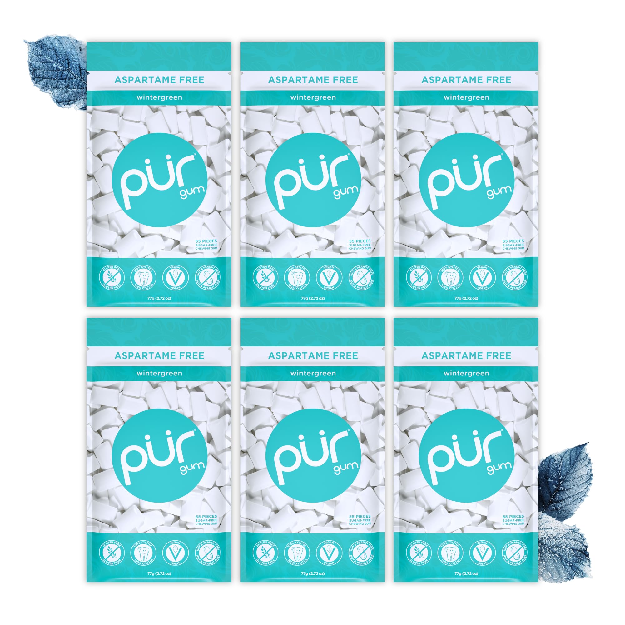 PUR - Natural Wintergreen Sugar-Free Chewing Gum (55 Pieces, Pack of 6)