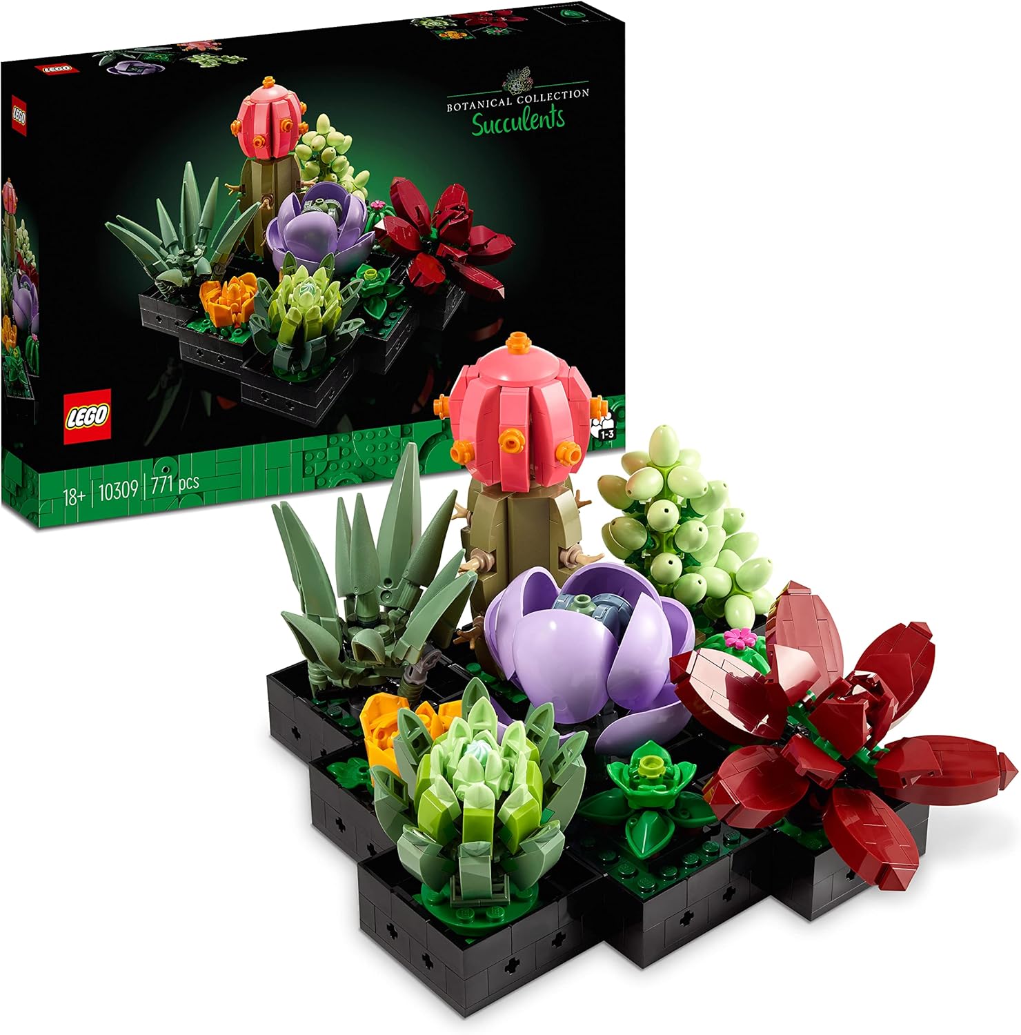 LEGO 10309 Icons Sukkulenten-Set – Künstliche Pflanzen für Erwachsene, Heimdeko & Bauen