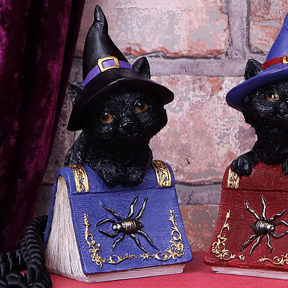 Nemesis Now Wiccan & Witchcraft Collection - Hocus Small Witches Familiar Black Cat and Spellbook Figurine
