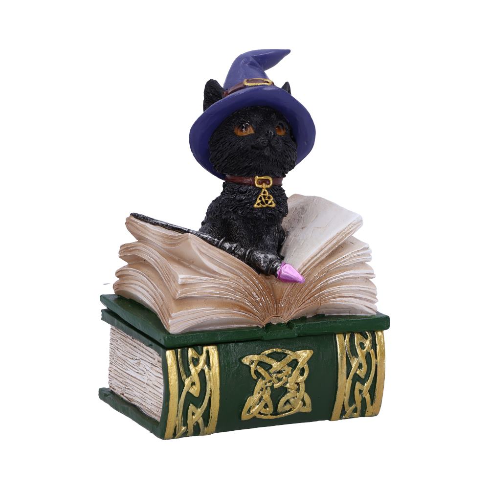 Nemesis Now Wiccan & Witchcraft - Binx Small Witches Familiar Black Cat and Spellbook Figurine Box