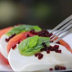 Messino Balsamic Pearls – 50ml Jar – Molecular Gastronomy Vinegar Spheres 2