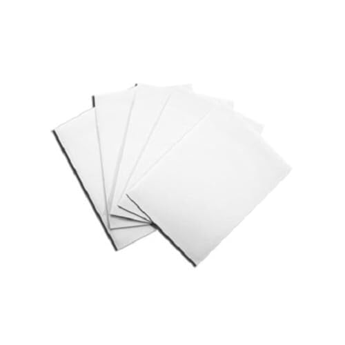 Dragon Shield Wei Card Sleeves (ART10005)