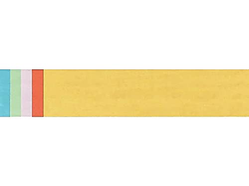 Creativity Inspired Pacon Sentence Strips Classroom Practice Paper | 3' x 24' | 100 Count | Assorted Colors 2