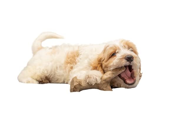 Bamboodles Puppy Chew Toy 3 Pack – Chicken Flavour | Natural Bamboo Fibre & Nylon 6