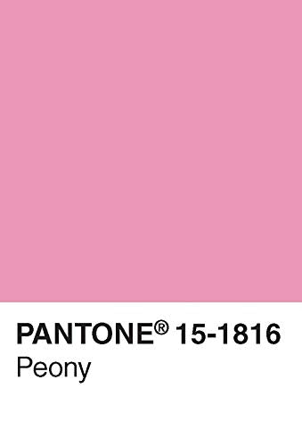Pantone Postcard Box: 100 Postcards 5