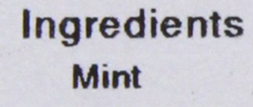Old India Mint Dried 1 Kg