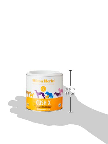 Hilton Herbs Cush X Herbal Supplement for Dogs | 100% Natural | 125g Powder 3