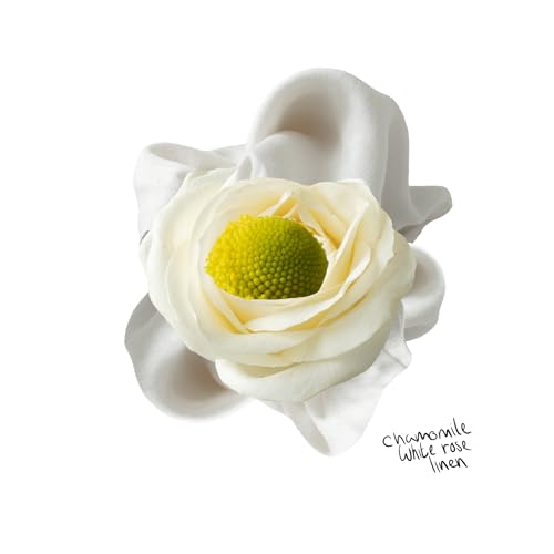 The Lab Co. - Laundry Detergent Strips Sheets (64 Loads, Eco Ultra-Concentrated) 9