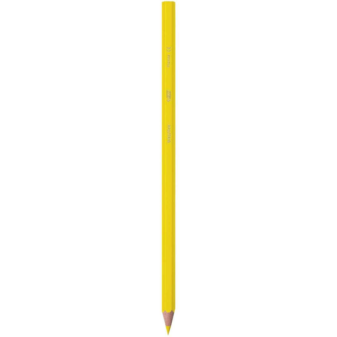 BIC Kids Evolution ECOlutions Colouring Pencils - 24 Assorted Colors, 60-Pencil Tin