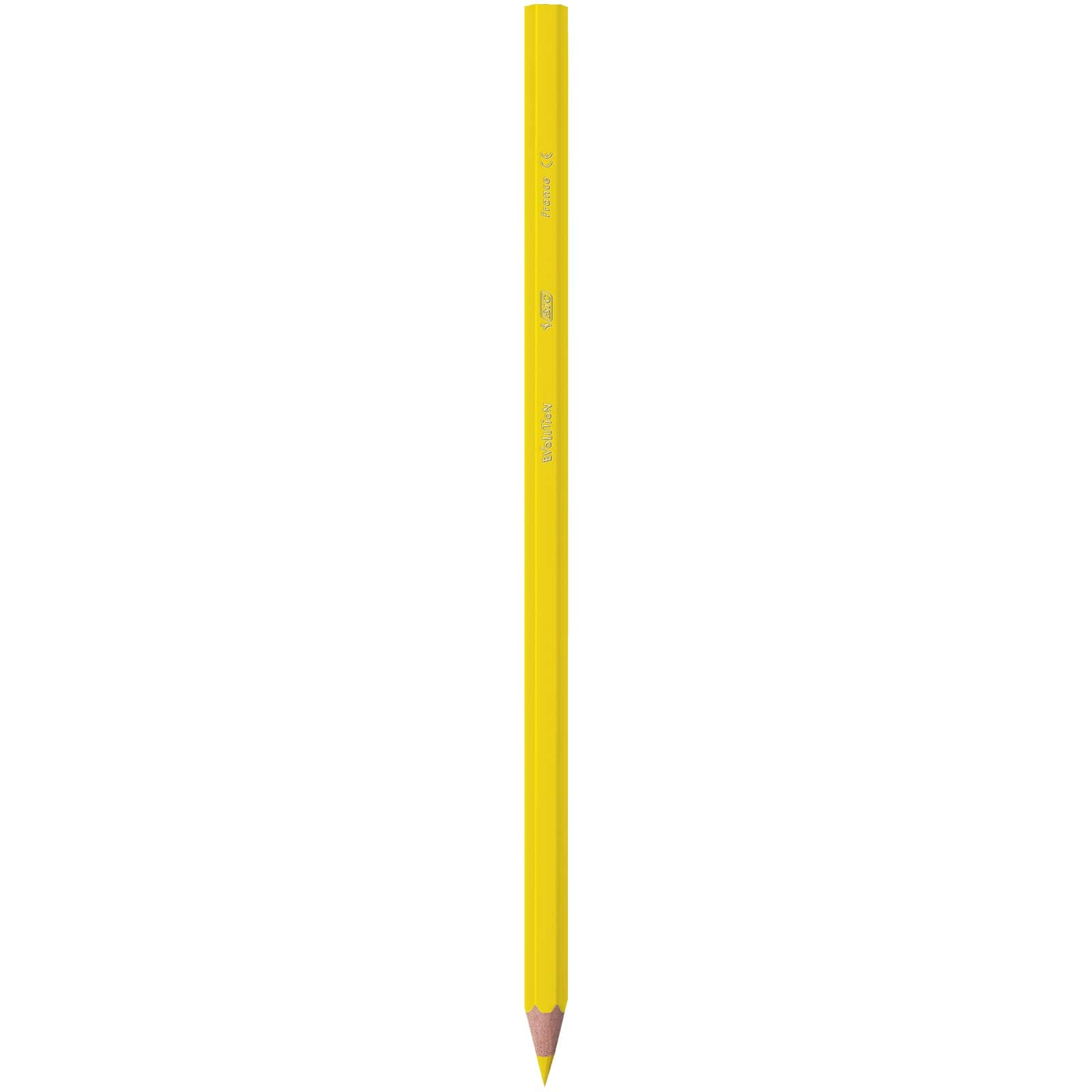 BIC Kids Evolution ECOlutions Colouring Pencils - 24 Assorted Colors, 60-Pencil Tin