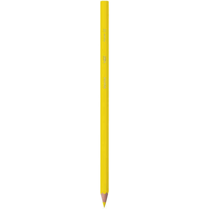 BIC Kids Evolution ECOlutions Colouring Pencils - 24 Assorted Colors, 60-Pencil Tin