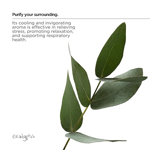 The Lab Co. - Laundry Detergent Strips Sheets (64 Loads, Eco Ultra-Concentrated) 10