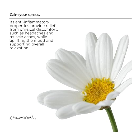 The Lab Co. - Laundry Detergent Strips (32 Loads, Eco Ultra-Concentrated) 10