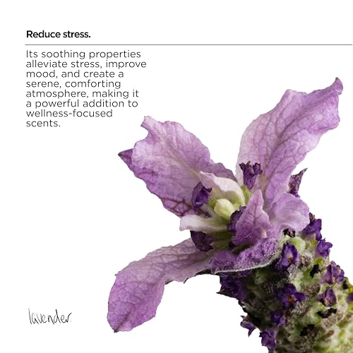 The Lab Co. - Laundry Detergent Strips (64 Loads, Cotton Lavender Jasmine) 10