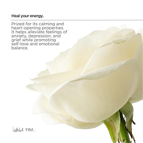 The Lab Co. - Laundry Detergent Strips Sheets (64 Loads, Eco Ultra-Concentrated) 11