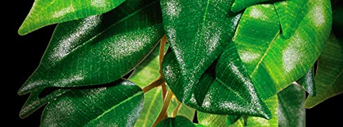 Hagen Exo Terra Small Silk Ficus Plant - Realistic Terrarium Decor | Plastic | 51x152x432mm 3