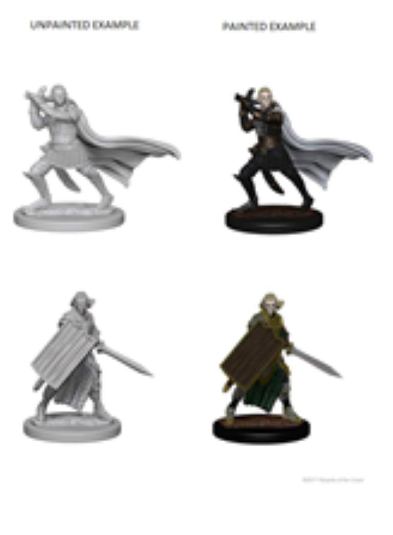 Dungeons & Dragons Elf Male Paladin (Pathfinder: Deep Cuts) - Cardstock Board Game Accessory 1