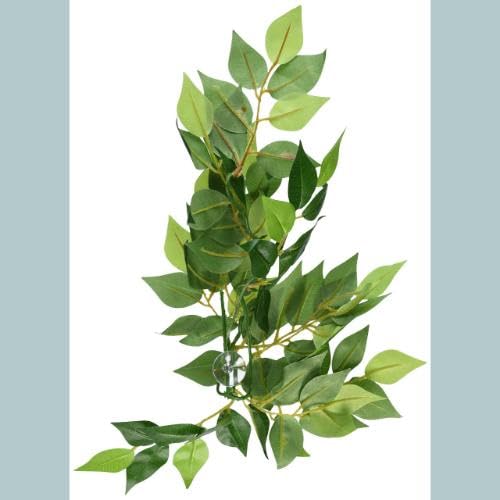 Hagen Exo Terra Small Silk Ficus Plant - Realistic Terrarium Decor | Plastic | 51x152x432mm 4