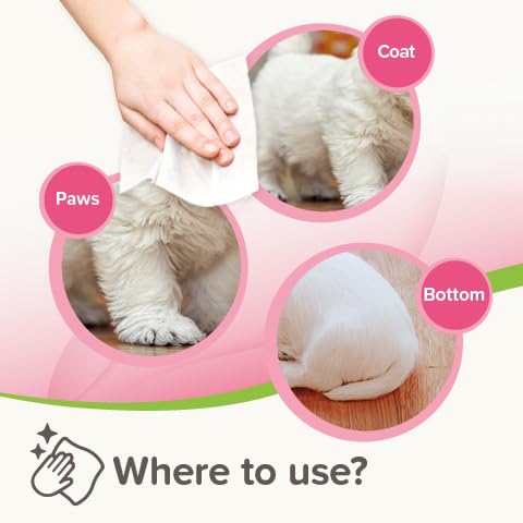 Beaphar Sensitive Grooming Wipes for Cats & Dogs | 100% Plant-Based | Aloe Vera & Pro-Vitamin B5 6