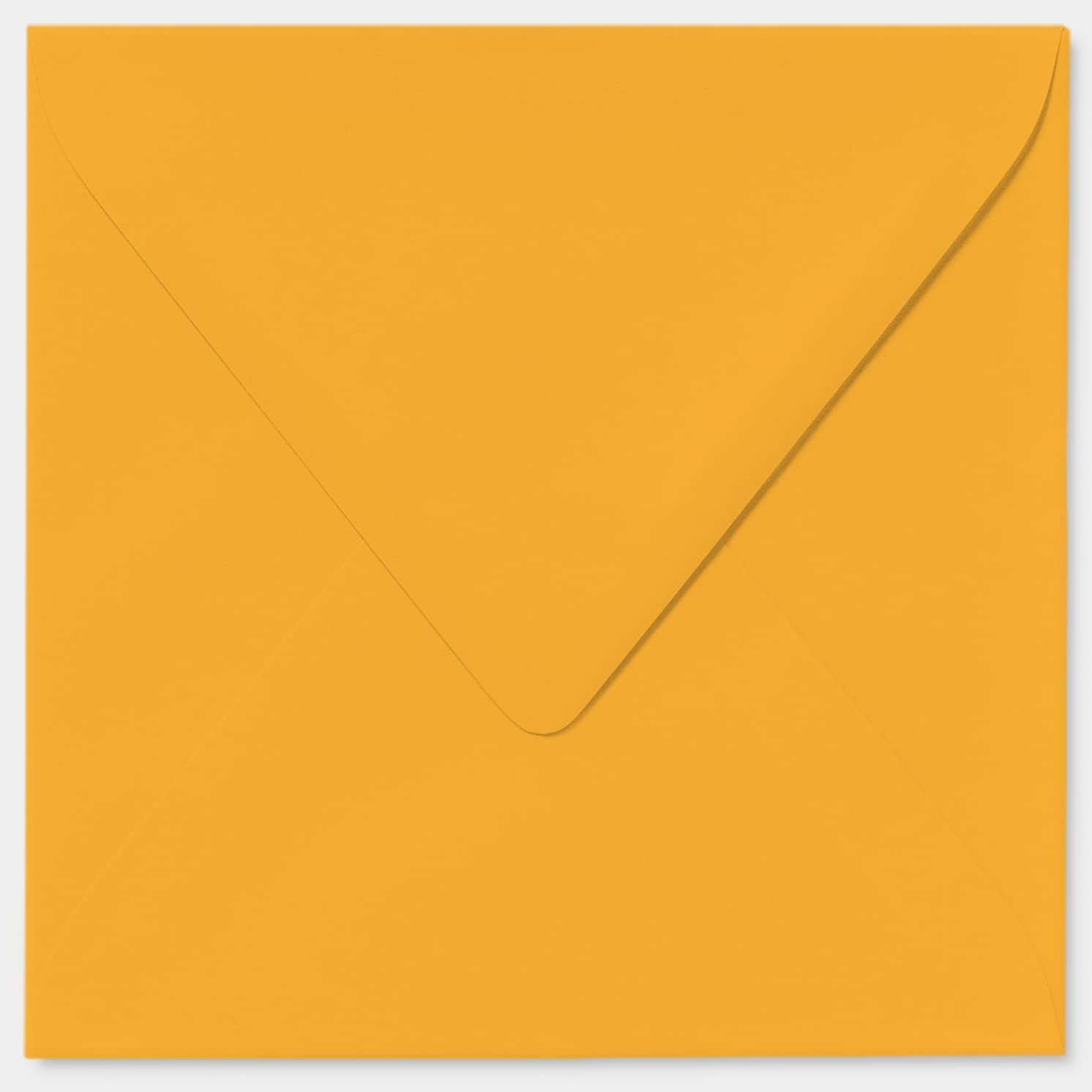 Stuff4 Funny Birthday Card for Manager Boss - My Favourite Employee Joke | Blank Inside | 145mm Square 5