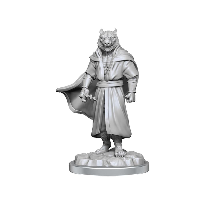 WizKids Critical Role Unpainted Miniatures: Male Human Sorcerer Merchant & Tiger Demon (82640)