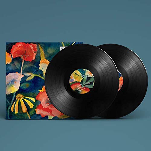 Adrianne Lenker - Songs and Instrumentals [2LP Import Vinyl] 4