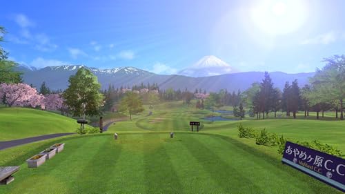 Everybody's Golf Hotshots - Nintendo Switch