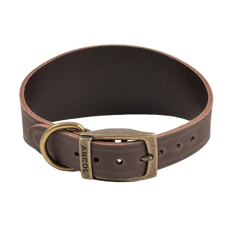 Ancol Timberwolf Leather Dog Collar - Sable | 30-34 cm Neck | Hand-Crafted Bridle Leather