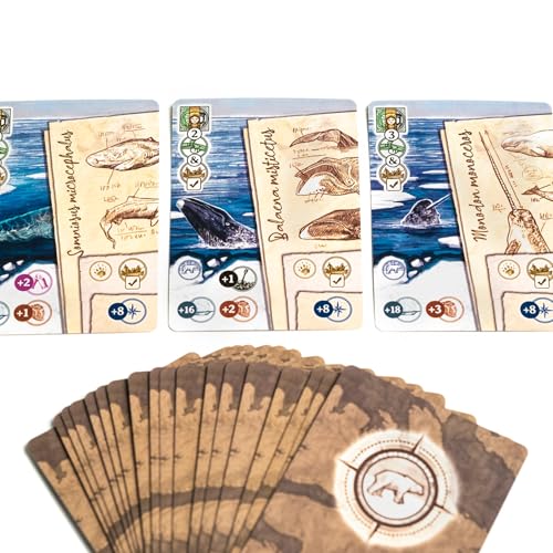 2Tomatoes Games Through Ice and Snow Arktis-Erkundungsbrettspiel 18