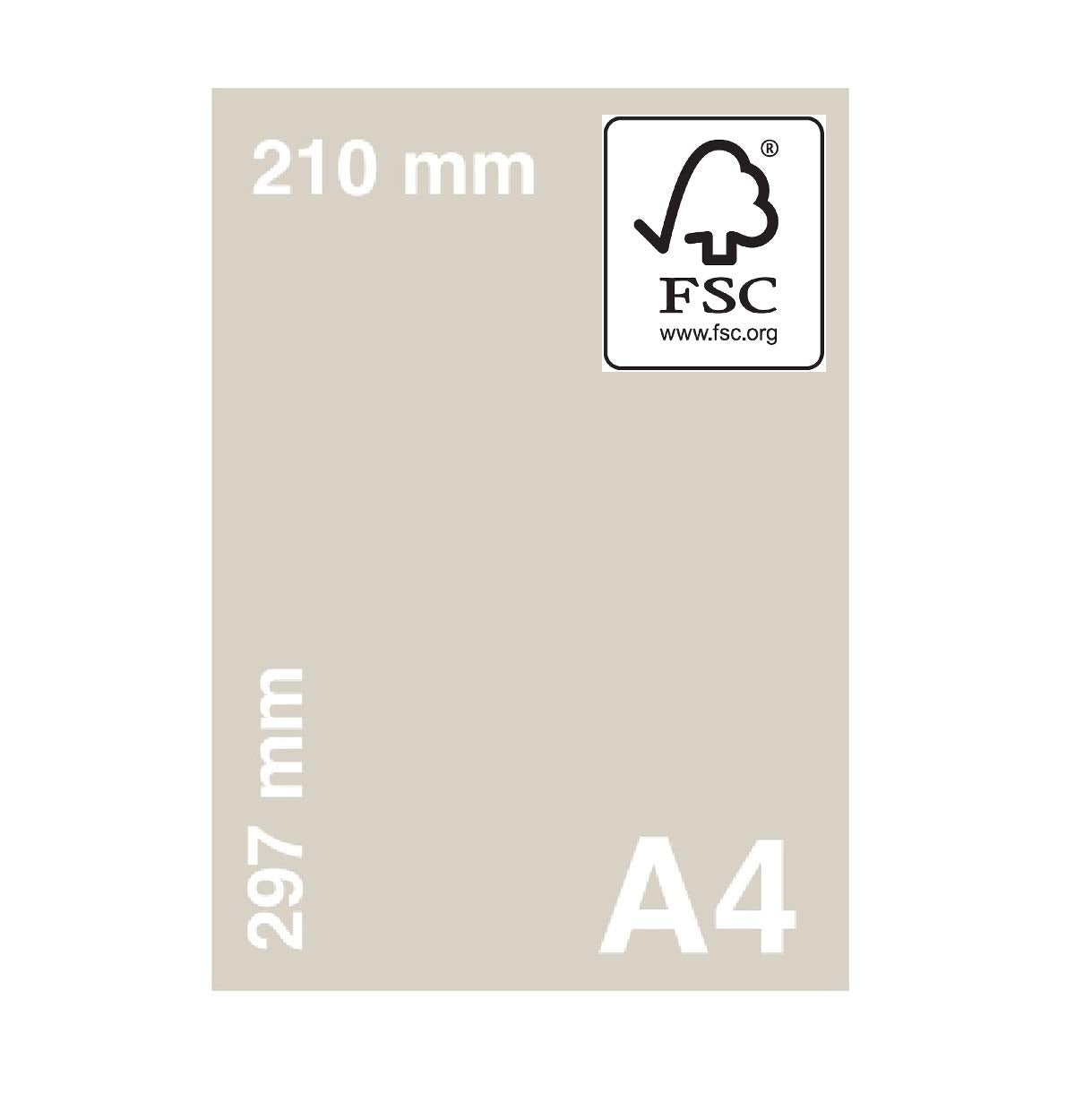 Habercrafts A4 Light Pink Coloured Paper 80gsm Double Sided Printer Paper | 100 Sheets