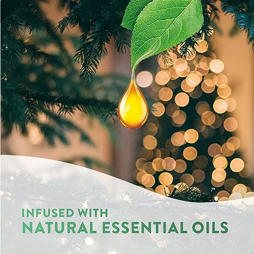 Airwick - Plug in Diffuser Twin Refill Pumpkin Spice & Everything Nice 19ml