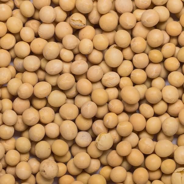 Wholefood Earth Organic Soya Beans - 2 kg Pack | High Fibre | Vegan | GMO Free 5