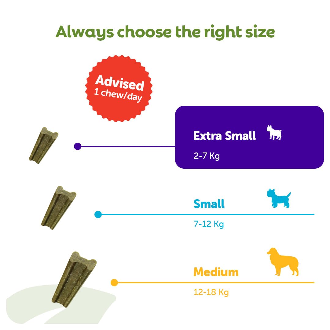 WHIMZEES Soft Dental Sticks for Extra Small Dogs - 56 Count, Parsley Flavored, Grain-Free 7