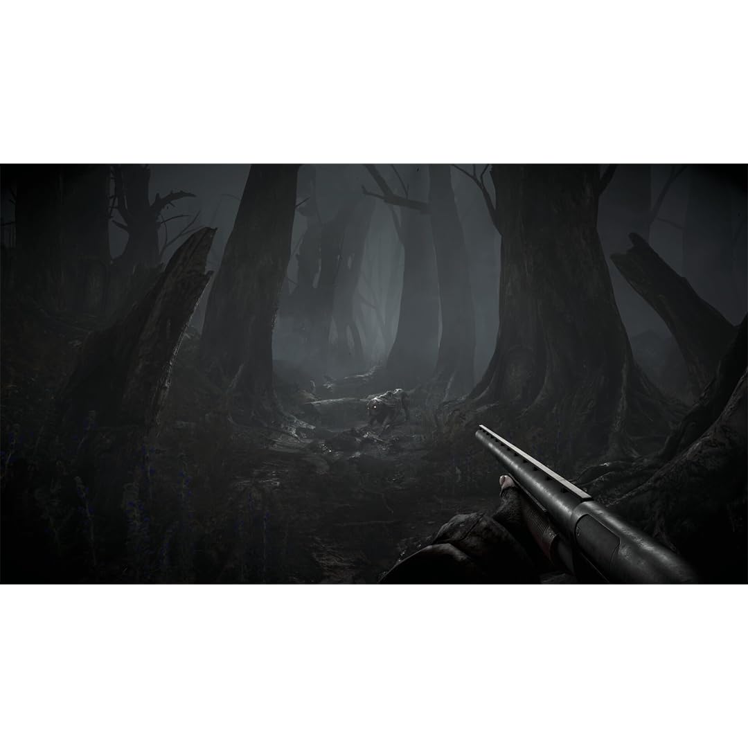 Total Chaos [PS5] 6