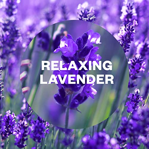 Air Wick - Relaxing Lavender Essential Mist Refill 20ml Pack of 6