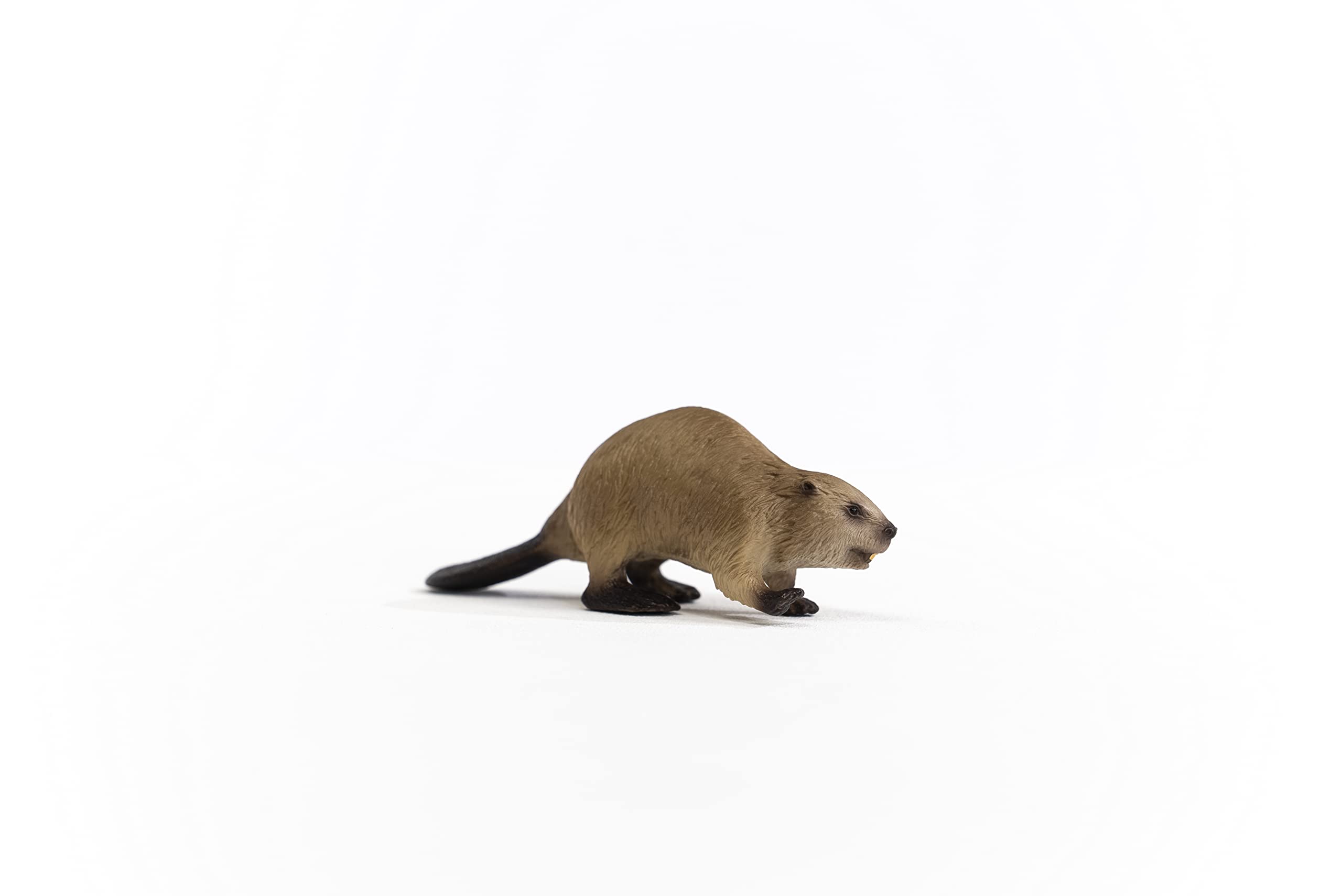 Schleich 14855 Beaver - Wildlife Animal Figure for Kids 3+ 11