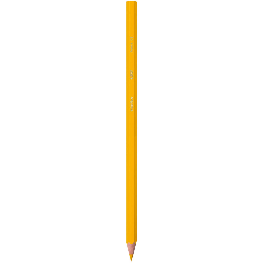 BIC Kids Evolution Coloured Pencils - Wood-Free, Durable Art Supplies for Kids 5+