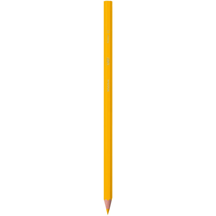 BIC Kids Evolution Coloured Pencils - Wood-Free, Durable Art Supplies for Kids 5+
