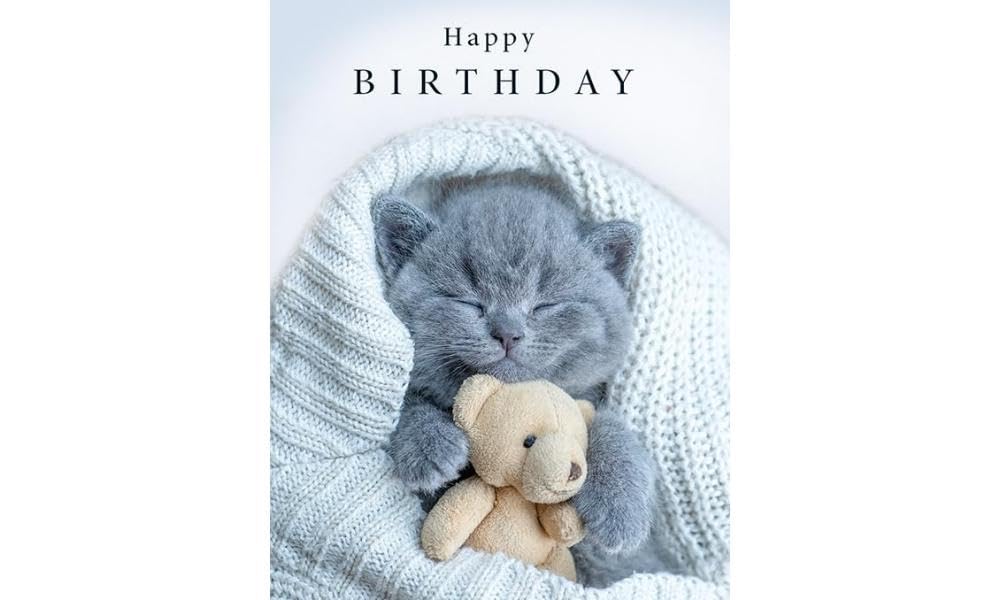 Piccadilly Greetings Birthday Card - Cute Cat and Teddy Design | 8 x 6 Inch 1