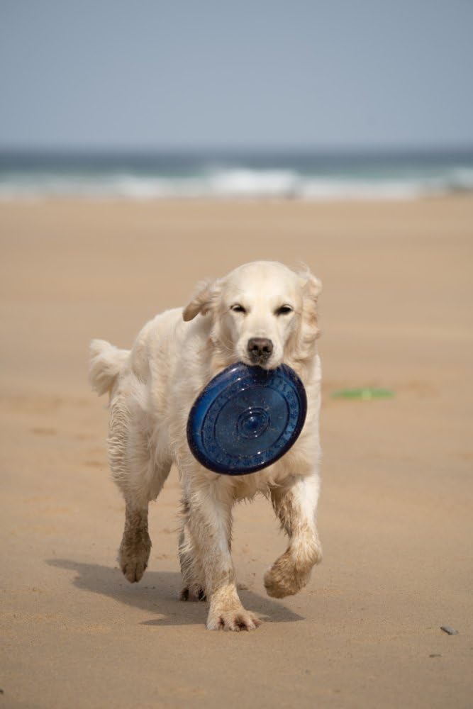 Petface Rubber Frisbee Dog Toy - Durable, Waterproof, Medium Size 6
