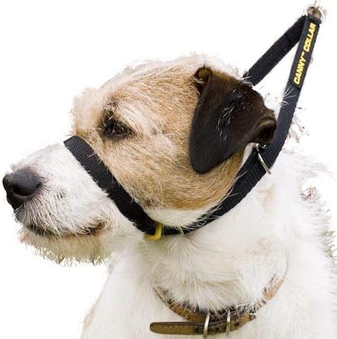 Canny - Canny Collar Head Collar for Dog Training and Walking - Black (Size 4, Model 02-1005) 15