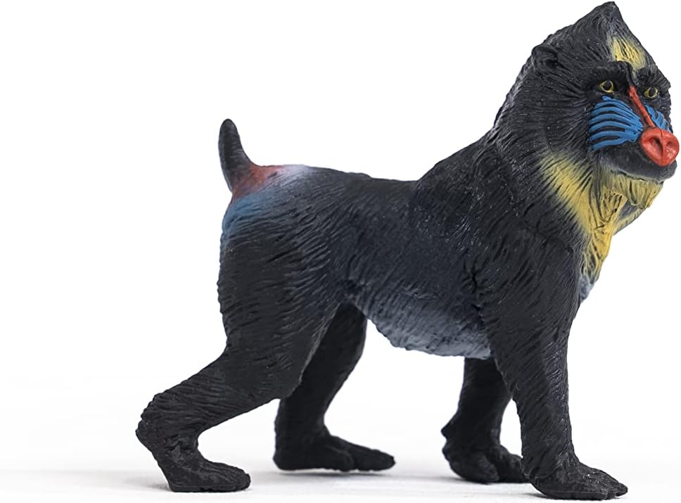 SCHLEICH Mandrill Figurine 14856 - Wildlife Animal Figure for Kids 3+ 2