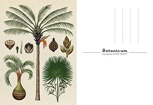 Botanicum Postcards: Welcome to the Museum 3